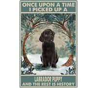 Vintage Metal Sign Labrador Puppy Once Upon a Time Vintage Tin Sign Funny Signs Wall Decor for Home Garden Bar Outdoor Living Room 12x16 Inch
