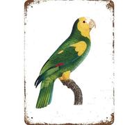 Vintage Metal Sign Style Green And Yellow Tropical Parrot Print Art Wall Sign Plaques Best for Bars,Backyard,Pools,Patio,Restaurants Wall Decor 8x12 Inch