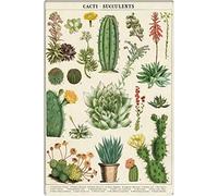 Vintage Metal Tin Plaque Signs Retro Signs Cacti Succulents Sign, Succulents Sign, Plants Sign, Gardener Gift, Vintage Wall Decor, Cactus Print, Vintage Cactus Tin Sign For Bar 8X12inch