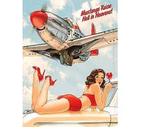 Vintage Metal Tin Sign Airplane Pinup Girl Wallpaper Mustangs Raise Hell 8x6 Inch Red Rectangular Wall Mount Pre-punched Holes