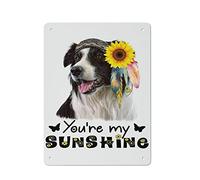 Vintage Metal Tin Sign Border Collie You Are My Sunshine Iron Painting Home Kitchen Garage Man Cave Wall Decor Plaque Art Poster Funny Gift