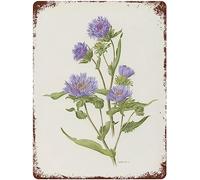 Vintage Metal Tin Sign Botanical Print From 1970 Blue Stokesia Flower Home Decor Funny Novelty Kitchen Bar Club Garage Garden Farm Wall Art Tin Signs 8x12 Inch A Gift For My Grandparents