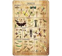 Vintage Metal Tin Sign Bugs Insects Retro Bug Lovers, Bug Insect Science Classroom Chart Aluminum Metal Sign Farmhouse Funny Novelty Kitchen Bar Club Garage Farm Wall Art Plaque 8x12 Inches