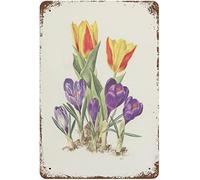 Vintage Metal Tin Sign Crocuses & Tulips Botanical Print 1964 Yellow Spring Flowers Gifts Home Decor Funny Novelty Kitchen Bar Club Garage Garden Farm Wall Art Tin Signs 8x12 Inch A Gift For Mom Dad