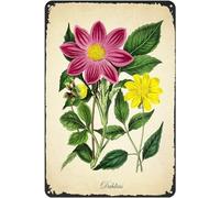 Vintage Metal Tin Sign Dahlia Botanical Print Vintage Natural History Art Aluminum Sign for Home Coffee Dining Room Wall Decor 12x16 Inch Plaque Tin Sign