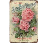 Vintage Metal Tin Sign Flowers Pink Roses Floral Nature Plants Valentine's Day Sign Funny Novelty Kitchen Bar Club Garage Garden Home Decor Wall Art Tin Signs 8X6 Inches