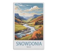 Vintage Metal Tin Sign,Home & Coffee Decor, Unique Garden & Kitchen Poster, Great Present for Free Spirits，Snowdonia Wales15x30cm（6x12 Zoll）A764
