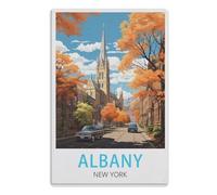 Vintage Metal Tin Sign,Home & Coffee Decor, Unique Garden & Kitchen Poster, Great Present for Free Spirits，Albany New York20x30cm(8x12 Zoll) A564