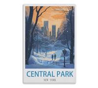 Vintage Metal Tin Sign,Home & Coffee Decor, Unique Garden & Kitchen Poster, Great Present for Free Spirits，Central Park New York 15 x 40 cm（ 6 x 16 inch）A644