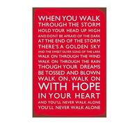 Vintage Metal Tin Sign, Metal Sign, Liverpool Football Club Chant, You'll Never Walk Alone Tin Sign, Liverpool Gift, Tinned Iron Poster Tinned Iron Wall Sticker Art Collection (30x20 cm)