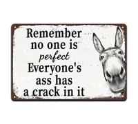 Vintage Metal Tin Sign Remember No One is Perfect Everyone's Ass Has a Crack in it Rustic Tin Signs Metal Poster for Garden Garage Home Bars Cafes Club Man Cave 8x12 Inch