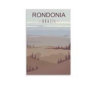 Vintage Metal Tin Sign Rondonia Brazil Metal Wall Art Bar Sign for Kitchen Pubs Coffee Metal Wall Decoration 15x30cm