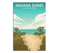 Vintage Metal Tin Signs Indiana Dunes National Park Indiana Ideal for Pub shed Bar Office Man Cave Home Bedroom Dining Room Kitchen Gift 30x30cm