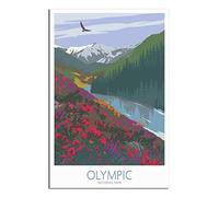 Vintage Metal Tin Signs Olympic National Park Skyline Metal Plaques Man Cave Vintage Wall Accessories Metal Tin Signs for Home Kitchen Club Bar Decorations 15x30CM
