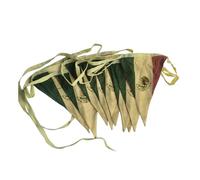 Vintage Mexican Flag Bunting Banner, 5 Meter Cotton Garland with 10 Double-Sided Mexico Pennant Flags, Fiesta Hanging Decoration for Cinco de Mayo, Mexican Independence Day, Parties