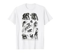 Vintage Monkeys Apes Chimpanzee Primates Evolution Biology Value Graphic T-Shirt, Men, White, XL