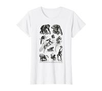 Vintage Monkeys Apes Chimpanzee Primates Evolution Biology Value Graphic T-Shirt, Women, White, S