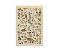 Vintage Mushroom By Adolphe Millot Poster Artworks Canvas Poster Wall Art Prints Home Modern Decor 12x18inch(30x45cm)