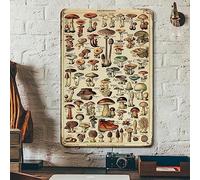Vintage Mushroom Poster Fungus Wall Art Retro Tin Sign - Mushroom Species Identification Reference Mushroom Accessories - Mushroom Decor Metal Poster Mushroom Wall decor 20x30cm