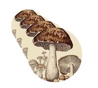 Vintage Mushrooms Drawing Car Air Freshener Cards Set of 4 Pieces Long Lasting Hanging Scented Cards Auto Aromatherapy Tablets Personalized Car Fresheners Gifts for Men Women - Lavender Scent