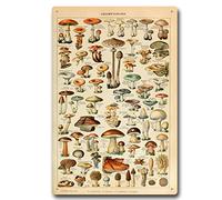 Vintage Mushrooms Metal Sign Different Mushroom Species Identification Reference By Adolphe Millot Antiqued Tin Sign for Bedroom Living Room Classroom 8 x 12 Inch