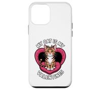 Vintage Native American Indian Pride Indigenous Indians Case for iPhone 12 mini