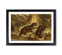 Vintage Natural History European Otter Framed Print | A2 Black Framed Wall Art | Ready to Hang | Classic Nature Picture | Living Room Bedroom Lounge Office