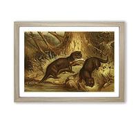 Vintage Natural History European Otter Framed Print | A2 Oak Framed Wall Art | Ready to Hang | Classic Nature Picture | Living Room Bedroom Lounge Office