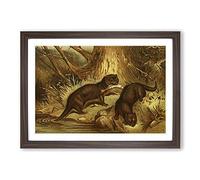 Vintage Natural History European Otter Framed Print | A2 Walnut Framed Wall Art | Ready to Hang | Classic Nature Picture | Living Room Bedroom Lounge Office