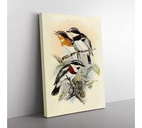 Vintage Natural History Fly Cathers Vintage Canvas Wall Art Print Ready to Hang, Framed Picture for Living Room Bedroom Home Office Décor, 60x40 cm (24x16 Inch)