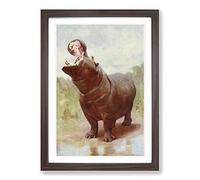 Vintage Natural History Hippo gaping Framed Print | A2 Walnut Framed Wall Art | Ready to Hang | Classic Nature Picture | Living Room Bedroom Lounge Office