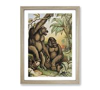 Vintage Natural History Male & Female Gorillas Vintage Framed Wall Art Print, Ready to Hang Picture for Living Room Bedroom Home Office Décor, Oak A3 (34 x 46 cm)