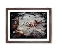 Vintage Natural History OctModern OPus Modern CB Framed Print | A2 Walnut Framed Wall Art | Ready to Hang | Classic Nature Picture | Living Room Bedroom Lounge Office