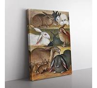 Vintage Natural History Tame Rabbits Vintage Canvas Wall Art Print Ready to Hang, Framed Picture for Living Room Bedroom Home Office Décor, 76x50 cm (30x20 Inch)