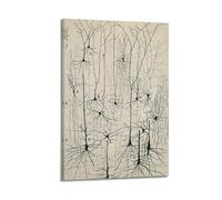 Vintage Neuron Drawing Santiago Ramon Y Cajal Wall Art Antique Brain Anatomy Poster Painting On Canvas Wall Art Scroll Picture Print Living Room Walls Decor Homes 08x12inch(20x30cm)