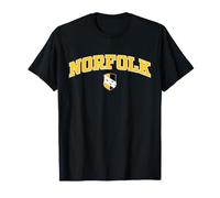 Vintage Norfolk County Yellow Black Varsity Style Design T-Shirt