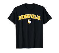Vintage Norfolk County Yellow Black Varsity Style Design Value Graphic T-Shirt, Men, Black, L
