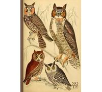 Vintage Notebook. 6x9 inch format, 120 blank white pages. Cover With cute aesthetic owls Illustration XIX century: For notes, travel, drawings, school, college, university, journal, diary (Birds)