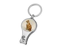 Vintage Orange Tabby Cat Nail Clippers Toenail Clipper Cutters Professional Nail Trimmer Nail Cuticle Cutter for Women Men