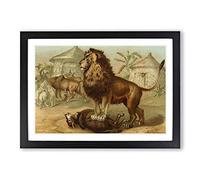 Vintage Our Living World 1885 Lion Framed Print | A2 Black Framed Wall Art | Ready to Hang | Classic Map Picture | Living Room Bedroom Lounge Office