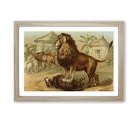 Vintage Our Living World 1885 Lion Framed Print | A2 Oak Framed Wall Art | Ready to Hang | Classic Map Picture | Living Room Bedroom Lounge Office