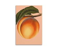 Vintage Peach Illustration Wall Art, Retro Print, Fruit Poster, Classic Canvas Picture, Elegant Decor for Living Room Bedroom Study Artistic Wall Mural Modern Hanging Decor Poster20x30inch(50x75cm)