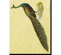 Vintage Peacock Blank Book Lined 8.5 by 11: 8.5 by 11 inch 100 page lined blank book suitable as a journal, notebook or diary with a vintage illustration of a peacock on the cover