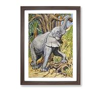 Vintage Percy J Billinghurst African Elephant Vintage Framed Print | A4 Walnut Framed Wall Art | Ready to Hang | Classic Animal Picture | Living Room Bedroom Lounge Office