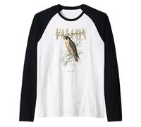 Vintage Peregrine Falcon Bird Art Nature Watching Raglan Baseball Tee