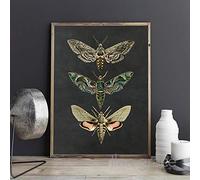 Vintage Posters And Prints Moth Nature Insect Prints Animal Picture Wall Art Canvas Paintings Kids Room Home Interior Decoration 30x40cmx1pcs frameless