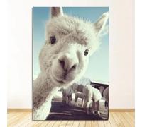 Vintage Posters Canvas Wall Art Animal Salon Alpaca Print Decorative Background Painting Pictures For Living Room Poster 70x100cm No frame