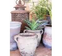 Vintage Pot with Handles, Terracotta Succulent Planter, Rustic Flower Garden Pot, Aged Grey Stone Weathered Urn Cactus Bulb Pot