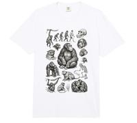 Vintage Primate Evolution Monkeys Apes Biology Comfort Colors Adult Heavyweight T-Shirt
