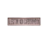 Vintage Primitive Funny Decor Illegitimi Non Carborundum Don't Let The Bastards Get You Down Kitchen Farmhouse Rustic metal Sign 4x16 Inch, CQQ-A12